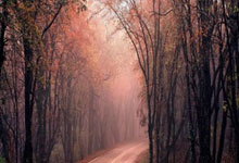 山东特殊教育职业学院学生团队研发 “星伴同行” 智能机器人 为孤独症儿童打造适配